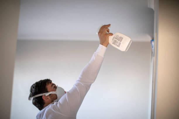 Best Bathroom Mold Remediation in Hanover Park, IL