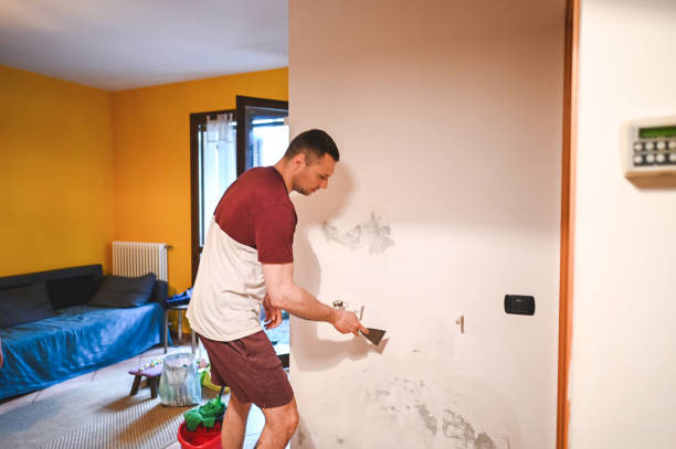 Best Attic Mold Remediation in Hanover Park, IL